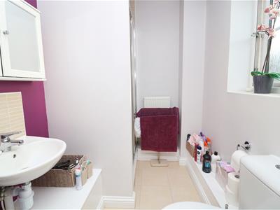 Picture 16